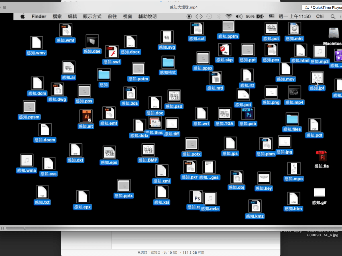 近視化影像研究, 蔡濟安
