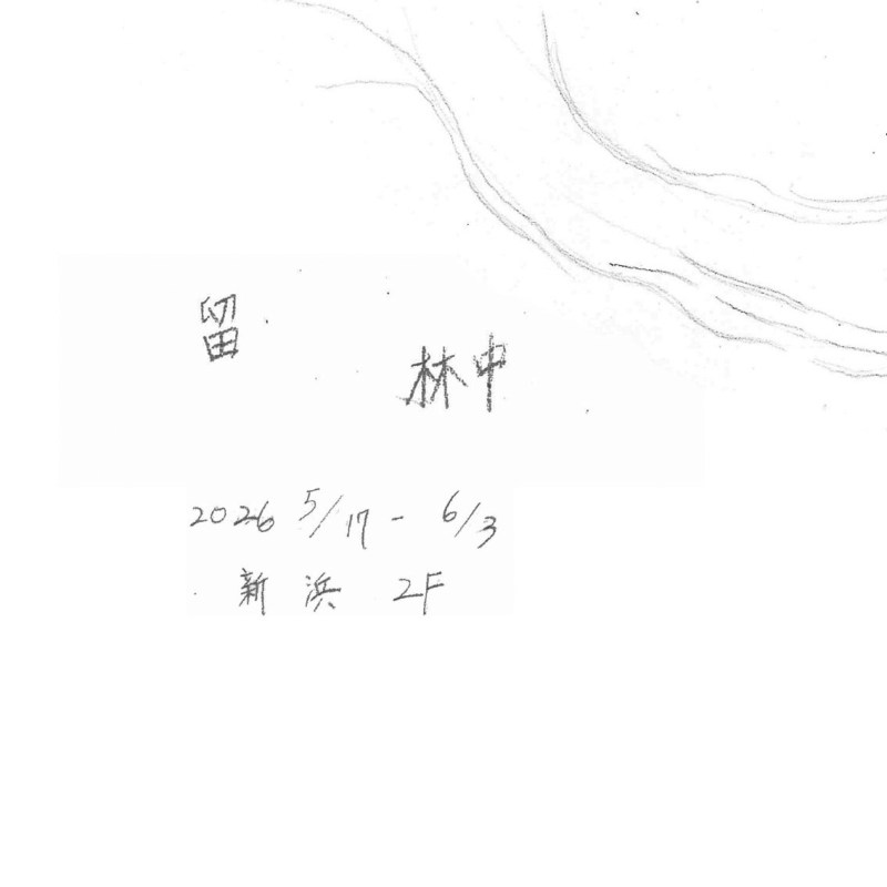 留林中－楊翊個展(What Remains in the Forest)